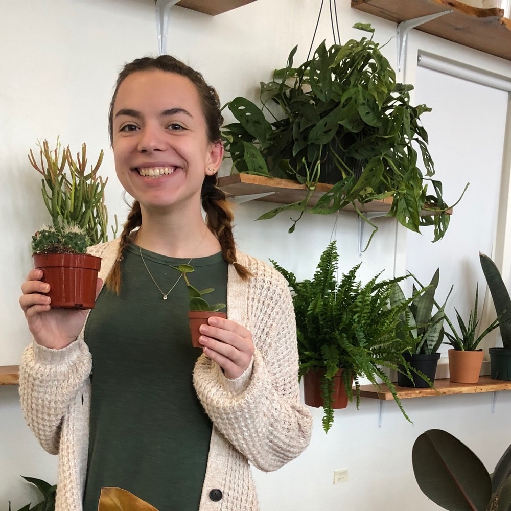 Meet your Posher, Alli